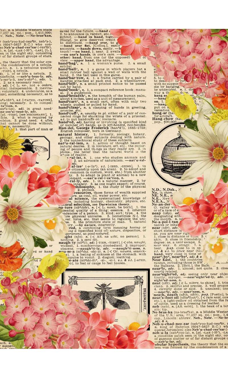 Papel Découpage - Flower Diary- Alberto Juarez