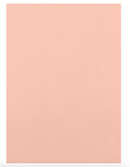 Cartulina 8.5x11 - Paq. de 10 (Bubblegum Pink) - Tonic