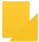 Cartulina 8.5x11 - Paq. de 10 (Marigold Yellow) - Tonic