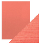 Cartulina 8.5x11 - Paq. de 10 (Coral Pink) - Tonic