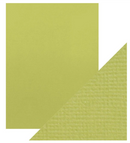 Cartulina 8.5x11 - Paq. de 10 (Pistachio Green) - Tonic