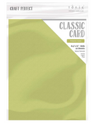 Cartulina 8.5x11 - Paq. de 10 (Pistachio Green) - Tonic