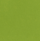Cartulina Lisa 12x12 - Crisp Green - My Colors