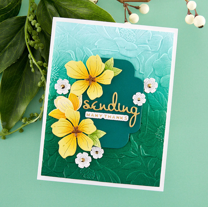 Four Petal Floral -  Embossing Folder - Spellbinders