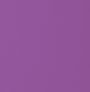 Cartulina Texturizada 12x12" - Grape - AC