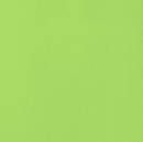 Cartulina Texturizada 12x12" -Keylime- AC