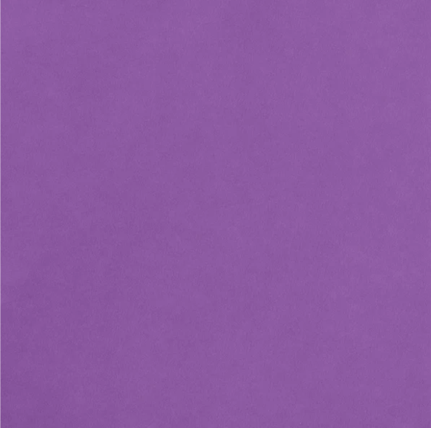 Cartulina Lisa 12x12 -Grape- AC