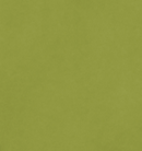 Cartulina Lisa 12x12 -Leaf- AC