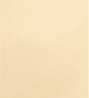 Hoja de Vellum - Gold Metallic - 8.5 x 11 pulgadas - Coredinations