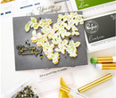 Kit de Sello, Troquel y Stencil - Delicate Foliage - Pinkfresh studio