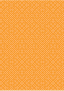 Quinn Diaz Miradas - Bloc de papel DINA - Basiccrea