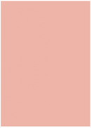 Quinn Diaz Miradas - Bloc de papel DINA - Basiccrea