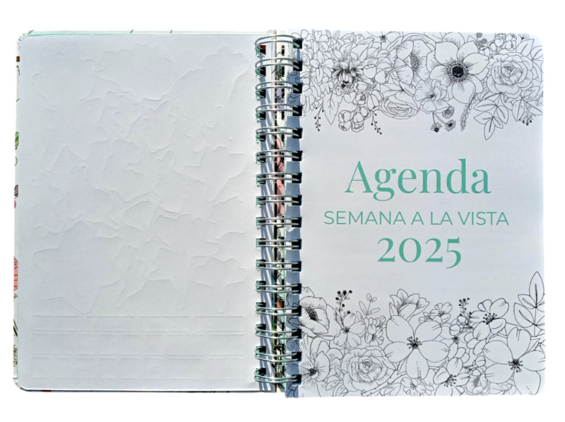 Coloring Therapy - Agenda 2025 - Mooving