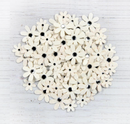 Flores Sparkle Florettes - Moon Light - Little Birdie