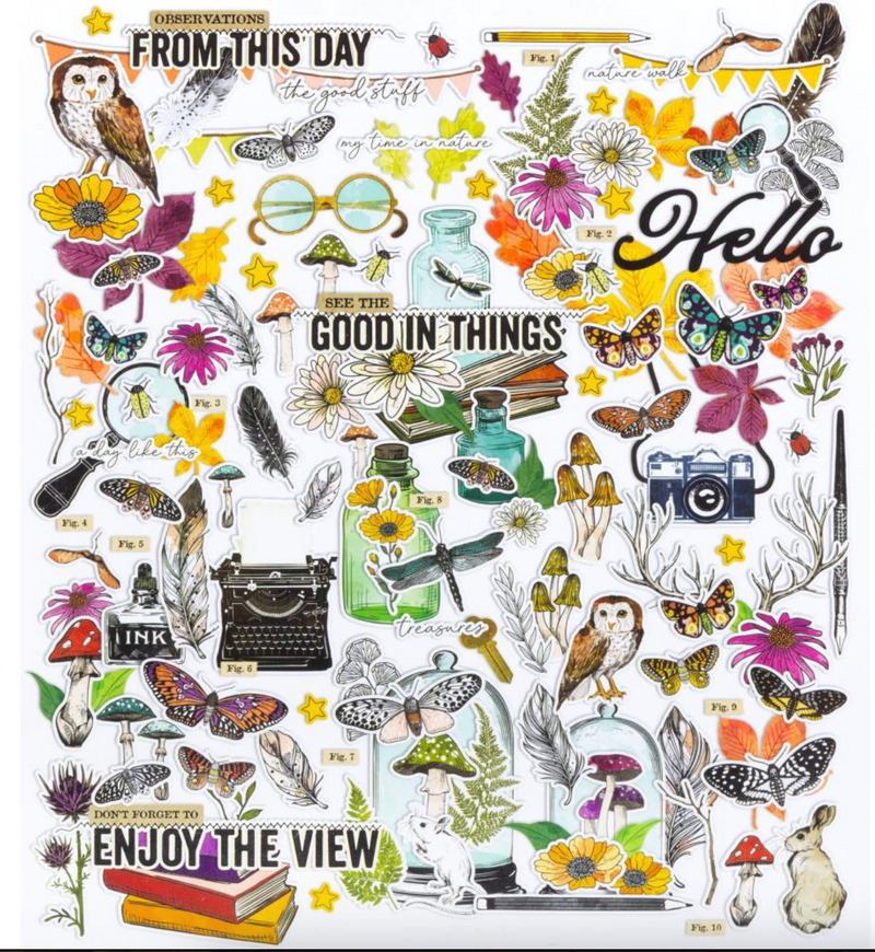 Curiosities in Willow Groove  - Efimera Icons And Titles - Vicki Boutin