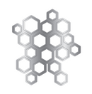 Troquel Wild Flower Honeycomb - Honeysuckle - Crafter Companion