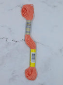 Skein - Light Coral - 8.75 yards - Sullivans