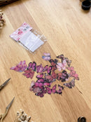 Set de 40 pegatinas de mariposas