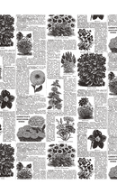 Papel Découpage -Black and White  Diary - Alberto Juarez