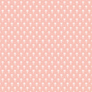 New Day - Radiant Rainbows - Papel Scrap 12x12  - Echo Park