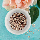 Champagne Discs - Spellbinders