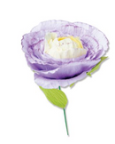 Thinlits Die Set 5PK - Spring Bloom - Sizzix