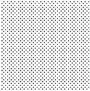 Blanco y Puntitos Negro - Hoja 12x12  - Echo Park