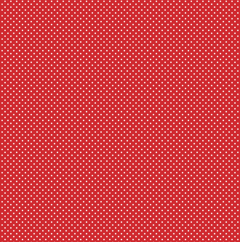 Rojo y Puntitos Blancos - Hoja 12x12  - Echo Park